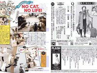 [FLASH] 電子版 2017 No.01.10 (筧美和子 岡田奈々 柳ゆり菜 他)