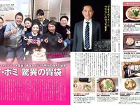 [FLASH] 電子版 2017 No.01.10 (筧美和子 岡田奈々 柳ゆり菜 他)
