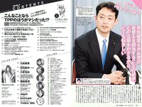 [Weekly Playboy] 2017 No.08 (久松郁実 白石麻衣 小宮有紗 塩地美澄 川崎あや 乃木坂46 他)