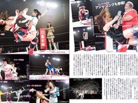 [FLASH] 電子版 2018 No.03.20 (橋本梨菜 佐藤聖羅 松川菜々花 武田あやな 柳瀬早紀 他)