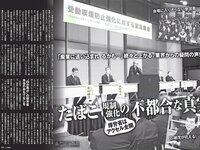[FLASH] 電子版 2017 No.02.07 (忍野さら 齋藤飛鳥 澤山璃奈 吉澤玲菜 他)