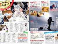[FLASH] 電子版 2018 No.02.13 (山崎真実 真野恵里菜 板野友美 広瀬アリス 大原優乃 松川菜々花 森咲智美 他)