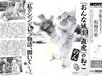 [FLASH] 電子版 2017 No.01.31 (小島瑠璃子 AKB48 玉置成実 浅川梨奈 真上さつき 三上悠亜 他)