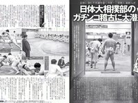 [FLASH] 電子版 2018 No.04.10 (柏木由紀 矢倉楓子 加藤玲奈 星野みなみ 新川優愛 他)