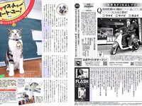 [FLASH] 電子版 2017 No.03.14 (葉加瀬マイ 紗綾 石井明美 手束真知子 桜井玲香 岡田奈々 他)