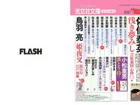 [FLASH] 電子版 2017 No.10.31 (わちみなみ 加藤綾子 堀口としみ 仲村美海 他)
