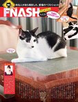 [FLASH] 電子版 2018 No.11.06 (山崎真実 石橋杏奈 京佳 佐藤美希 他)