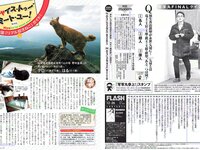 [FLASH] 電子版 2017 No.12.26 (浅川梨奈 土屋太鳳 深田恭子 松村沙友理 渡辺梨加 忍野さら 増田有華 他)