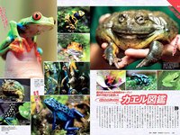 [Weekly Playboy] 2018 No.38 (井口綾子 草刈麻有 松田紗和 佐藤美希 塩川莉世 安倍乙 他)