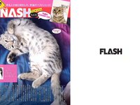 [FLASH] 電子版 2018 No.10.09 (山本彩 吉田朱里 葉加瀬マイ 山地まり 清水綾乃 水野朝陽 福原遥 他)
