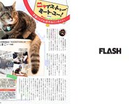 [FLASH] 電子版 2017 No.11.21 (新内眞衣 石橋杏奈 多田愛佳 森咲智美 他)