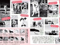 [FLASH] 電子版 2018 No.12.25 (エリカ マリナ 大和田南那 MIYU 麻亜子 優月心菜 他)