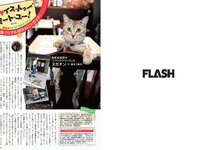 [FLASH] 電子版 2017 No.10.10 (山本彩 久松郁実 多田愛佳 ほのか 手島優 他)