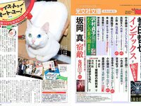 [FLASH] 電子版 2017 No.09.12 (園都 新妻聖子 吉岡里帆 河合奈保子 橋本梨菜 他)