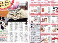 [FLASH] 電子版 2017 No.07.18 (板野友美 松田美子 あびる李帆 ダレノガレ明美 ほのか 玉置成実 他)