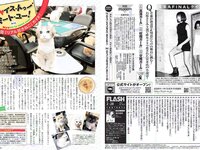 [FLASH] 電子版 2017 No.02.28 (稲村亜美 冨手麻妙 玉置成実 橋本奈々未 他)