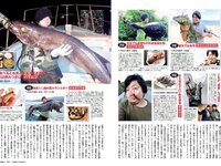 [FLASH] 電子版 2017 No.02.28 (稲村亜美 冨手麻妙 玉置成実 橋本奈々未 他)