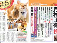 [FLASH] 電子版 2017 No.07.04 (向井地美音 筧美和子 もちづきる美 他)