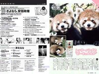 [Weekly Playboy] 2018 No.14 (澤北るな 星野みなみ MIYU 宮下かな子 つぶら 亀井南美 佐倉仁菜 他)
