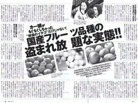 [Weekly Playboy] 2018 No.14 (澤北るな 星野みなみ MIYU 宮下かな子 つぶら 亀井南美 佐倉仁菜 他)