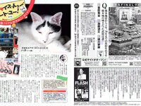 [FLASH] 電子版 2017 No.05.02 (菜々緒 浅田真央 川村エミコ 入山杏奈 大石絵里 森野美咲 三上悠亜 他)