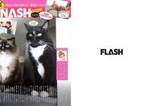[FLASH] 電子版 2018 No.12.11 (石橋杏奈 AKB48 渡邉幸愛 保﨑麗 関根ささら 他)