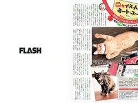 [FLASH] 電子版 2017 No.08.15 (宮脇咲良 内田理央 橋本マナミ 柏原芳恵 他)