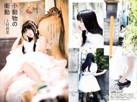 [Weekly Playboy] 2018 No.49 (欅坂46 他)