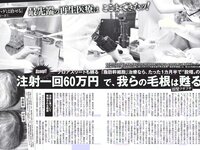 [FLASH] 電子版 2018 No.09.25 (西村歩乃果 深田恭子 みうらうみ 松本穂香 高橋しょう子 他)