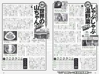 [Weekly Playboy] 2018 No.17 (長濱ねる 沢すみれ 松田紗和 わちみなみ 本間日陽 齊藤英里 竹内佳菜子 他)