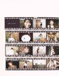 [Photobook] 2023.02.21 秋元真夏 卒業記念写真集『振り返れば、乃木坂』