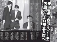 [FLASH] 電子版 2017 No.08.08 (石川恋 松田美子 平嶋夏海 金子理江 他)