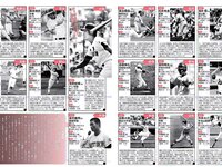 [FLASH] 電子版 2017 No.08.08 (石川恋 松田美子 平嶋夏海 金子理江 他)