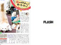 [FLASH] 電子版 2017 No.08.08 (石川恋 松田美子 平嶋夏海 金子理江 他)