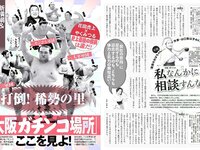 [FLASH] 電子版 2017 No.03.28 (菜々緒 山本美憂 朝比奈彩 小林香菜 他)