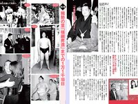 [FLASH] 電子版 2017 No.03.28 (菜々緒 山本美憂 朝比奈彩 小林香菜 他)