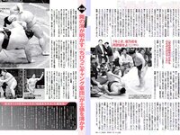 [FLASH] 電子版 2017 No.03.28 (菜々緒 山本美憂 朝比奈彩 小林香菜 他)