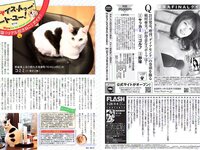 [FLASH] 電子版 2017 No.03.28 (菜々緒 山本美憂 朝比奈彩 小林香菜 他)