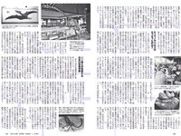 [Weekly Playboy] 2018 No.46 (今田美桜 十味 佐藤美希 マギー 岸明日香 清水綾乃 黒木ひかり 階戸瑠李 津久井えみり 他)
