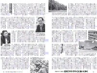 [Weekly Playboy] 2018 No.36 (小島瑠璃子 山谷花純 大島麻衣 都丸紗也華 小宮有紗 藤岡麻美 ひうら姉妹 他)