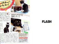 [FLASH] 電子版 2017 No.10.03 (衛藤美彩 武田玲奈 山崎真実 塩地美澄 他)