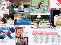 [Weekly Playboy] 2018 No.30 (CYBERJAPAN DANCERS 桃月なしこ 似鳥沙也加 mimmam 緒方咲 高嶋香帆 他)