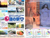 [FLASH] 電子版 2017 No.08.22-29 (朝比奈彩 叶美香 手島優 高城亜樹 他)
