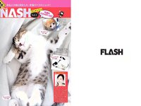 [FLASH] 電子版 2018 No.06.12 (白間美瑠 荻野由佳 柏木由紀 菅井友香 伊原六花 他)