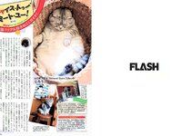 [FLASH] 電子版 2017 No.06.27 (柳ゆり菜 菅本裕子 佐藤寛子 芳根京子 高橋しょう子 他)