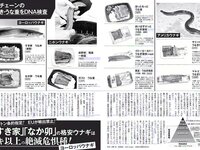 [FLASH] 電子版 2018 No.08.14 (朝比奈彩 あまつ様 綾瀬はるか RaMu はるかぜ. 他)