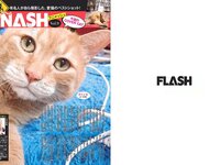 [FLASH] 電子版 2018 No.08.14 (朝比奈彩 あまつ様 綾瀬はるか RaMu はるかぜ. 他)