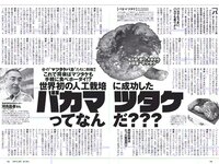 [Weekly Playboy] 2018 No.15 (武田玲奈 森田ワカナ 加藤玲奈 傳谷英里香 大友花恋 伊藤寧々 桐谷まつり 他)