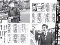 [FLASH] 電子版 2017 No.11.07 (永尾まりや 池田エライザ 島田晴香 宮内知美 橋本梨菜 他)