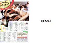 [FLASH] 電子版 2017 No.11.07 (永尾まりや 池田エライザ 島田晴香 宮内知美 橋本梨菜 他)